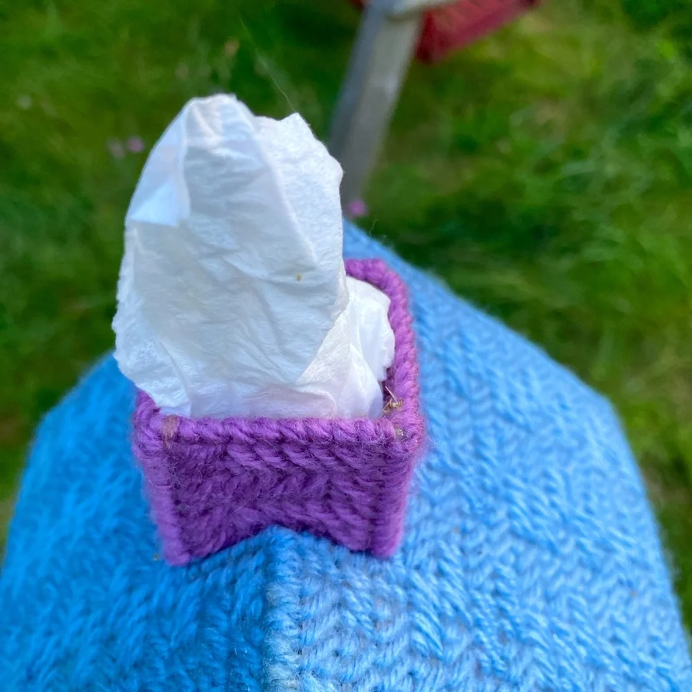 Tissue Box Cover HANDMADE Yarn Cross Stitch Cute Cottage